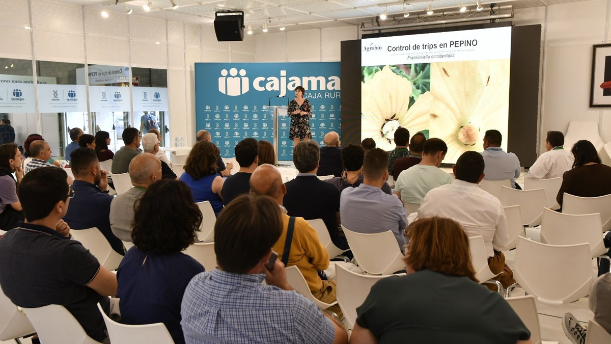 Foto conferencias